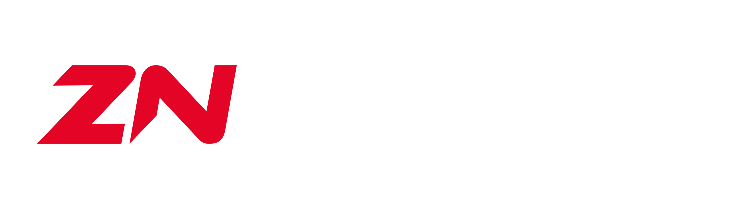 LOGO_ZN Auto - inverzní